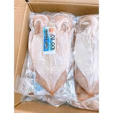 Mực ống Cô Tô một nắng